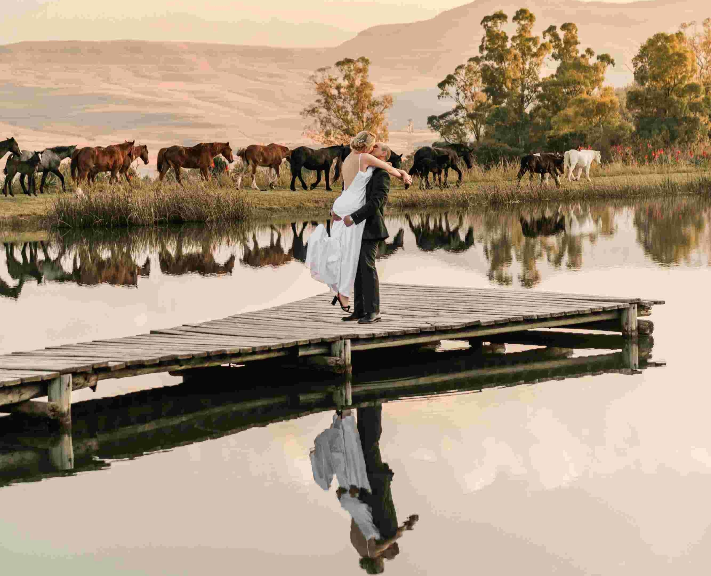 Couple kissing on wooden jetty with horses and dam at sunset