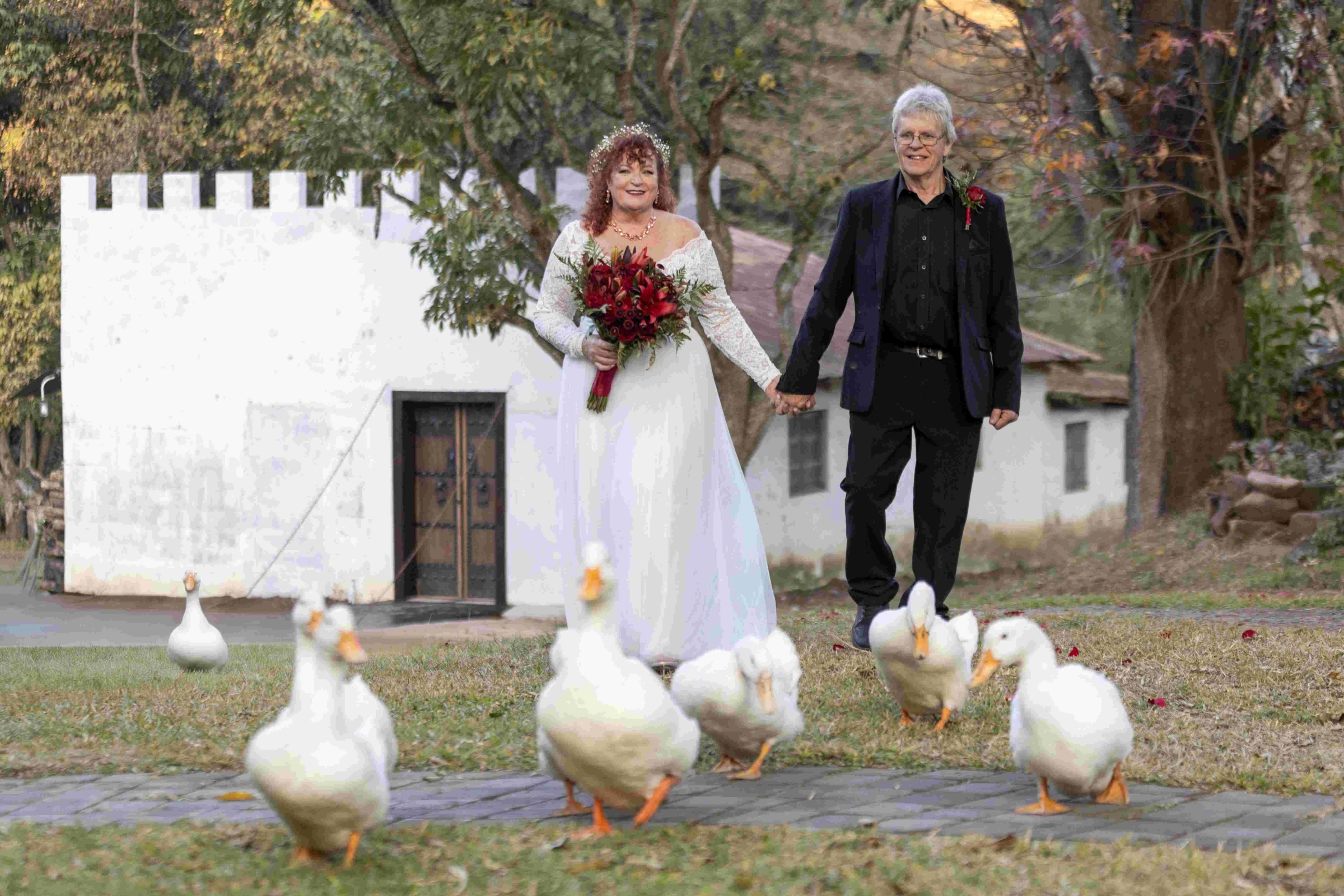 Wedding couple walking hand in hand with white geese